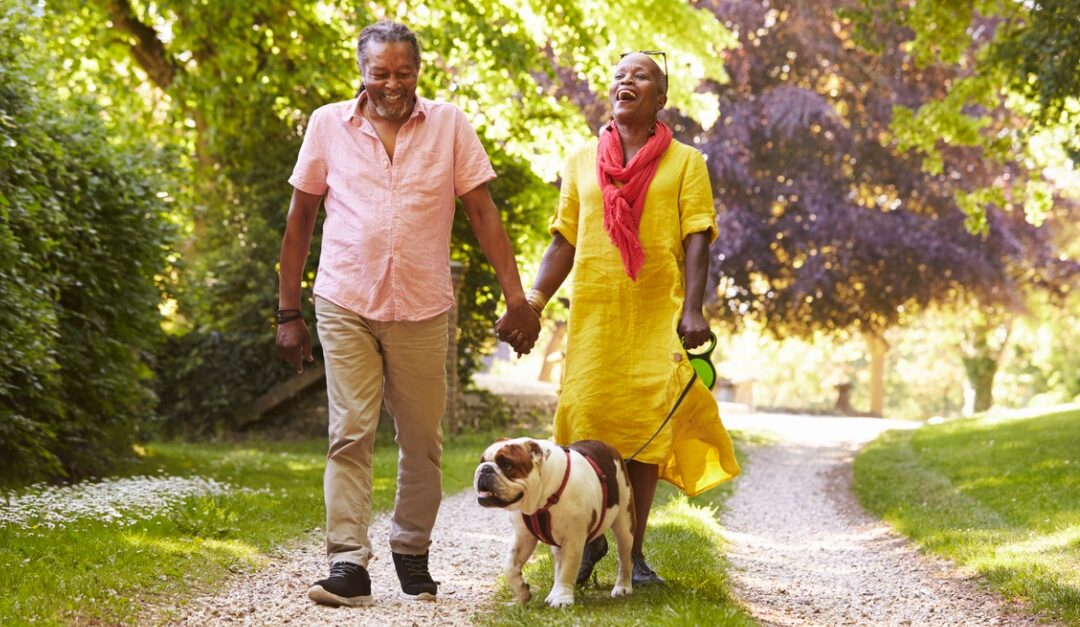 Senior couple walking pet bulldog